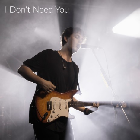 I Don't Need You | Boomplay Music