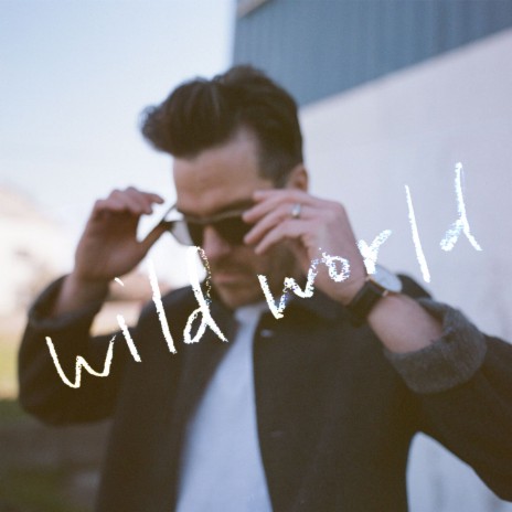 Wild World | Boomplay Music