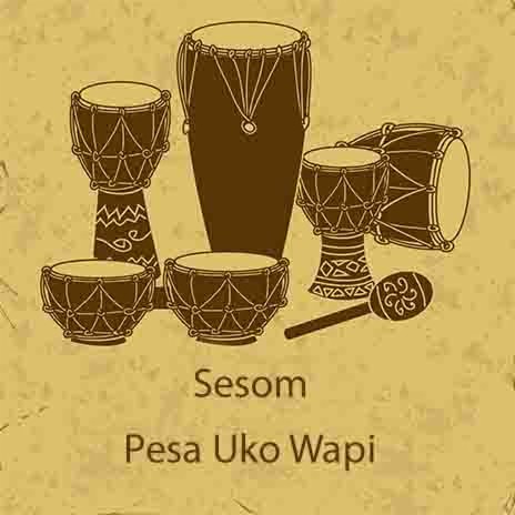 Pesa Uko Wapi | Boomplay Music