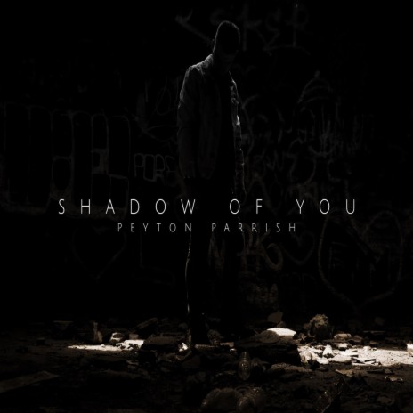 Shadow of You | Boomplay Music