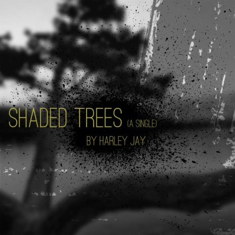 Shaded Trees | Boomplay Music