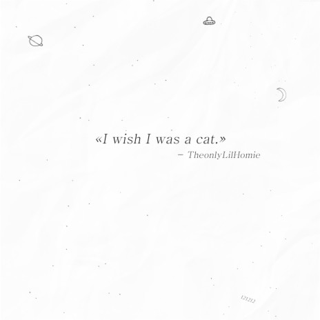 I Wish I Was a Cat | Boomplay Music