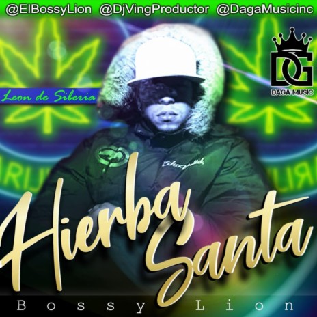 Hierba Santa | Boomplay Music