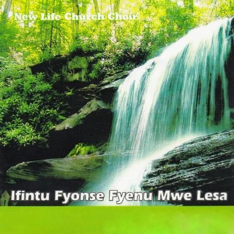 Ifintu Fyonse Fyenu | Boomplay Music