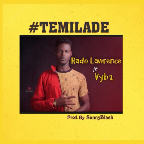 Temilade ft. Vybz | Boomplay Music