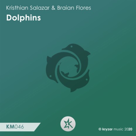 Dolphins (Original Mix) ft. Braian Flores | Boomplay Music