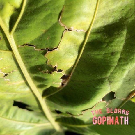 Gopinath | Boomplay Music