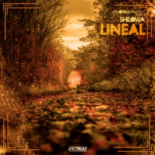 Lineal Listen On Boomplay For Free