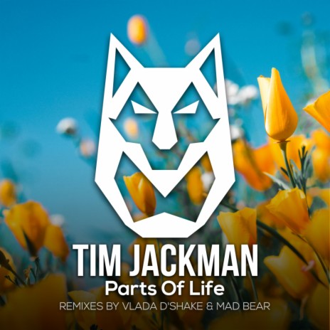 Parts Of Life (Vlada D'Shake Remix) | Boomplay Music