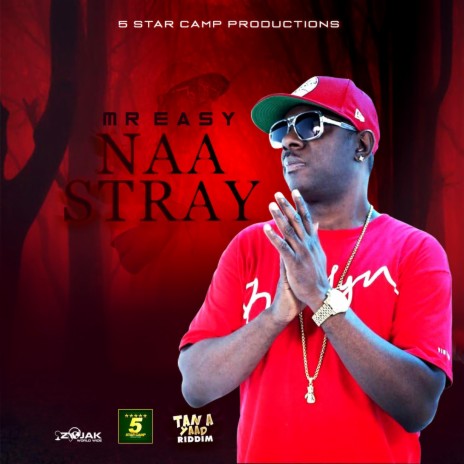 Naa Stray | Boomplay Music
