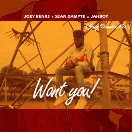 Want You (Joey Benks Remix) ft. JahBoy | Boomplay Music