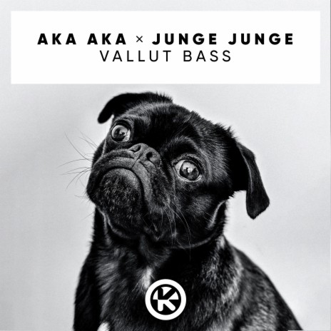 Vallut Bass ft. Junge Junge | Boomplay Music