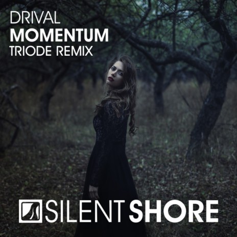 Momentum (Triode Radio Edit)