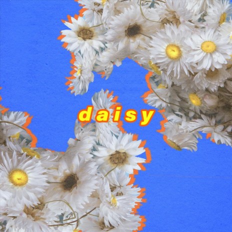 Daisy | Boomplay Music