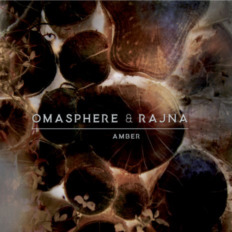 Amber ft. Rajna, Damien BETOUS, Fabrice LEFEBVRE & Brice AMO | Boomplay Music