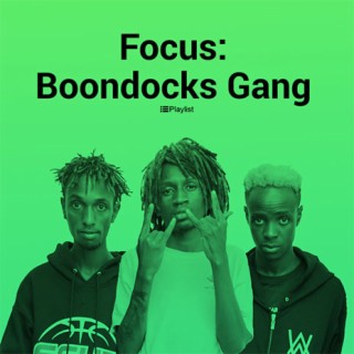 Focus: Boondocks Gang