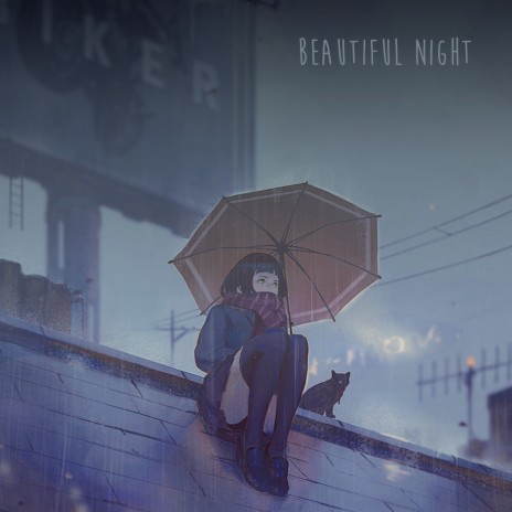 Beautiful Night | Boomplay Music