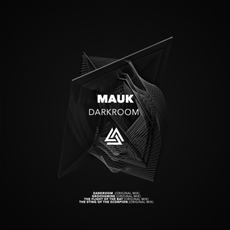 Darkroom (Original Mix) | Boomplay Music