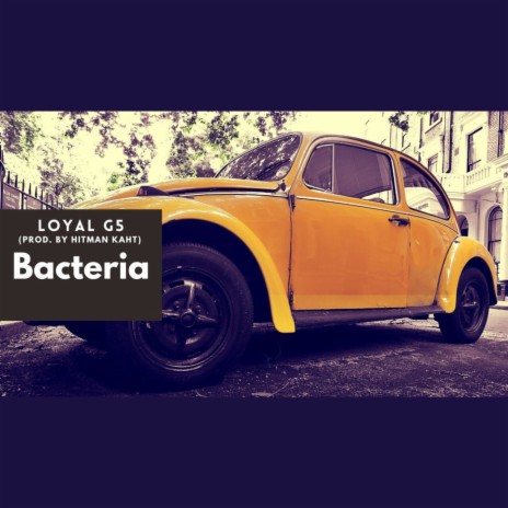 Bacteria | Boomplay Music