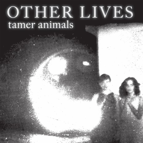 Tamer Animals | Boomplay Music