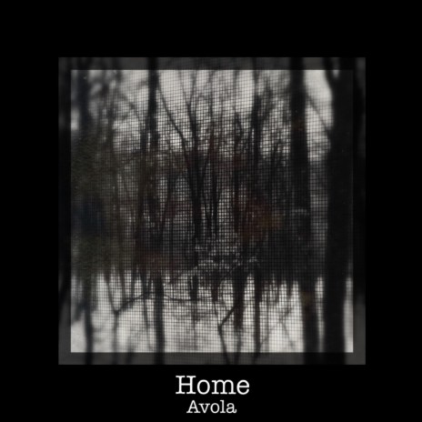 Home | Boomplay Music