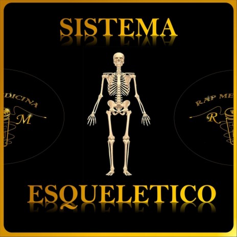 Sistema Esquelético | Boomplay Music