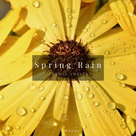 Spring Rain (Original Mix) | Boomplay Music