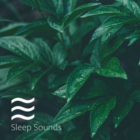 Fast sleep calm brown noise sounds