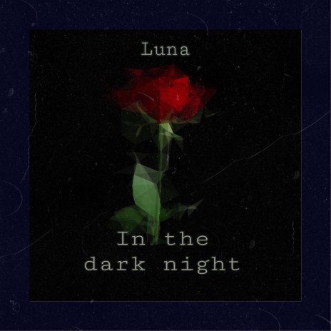 In the Dark Night | Boomplay Music