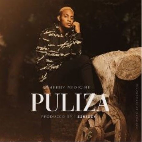 Puliza | Boomplay Music