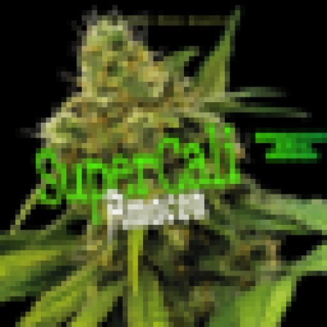 SuperCali | Boomplay Music