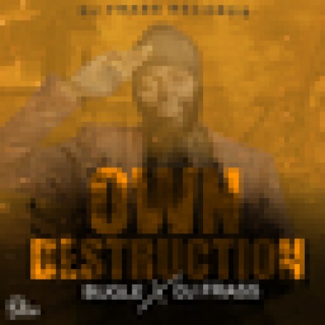 Own Destruction ft. DJ Frass | Boomplay Music