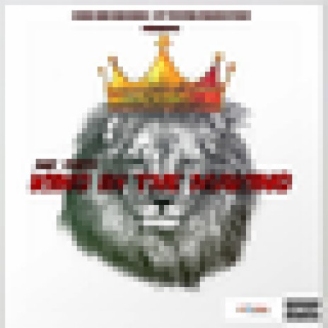 King In The Making | Boomplay Music