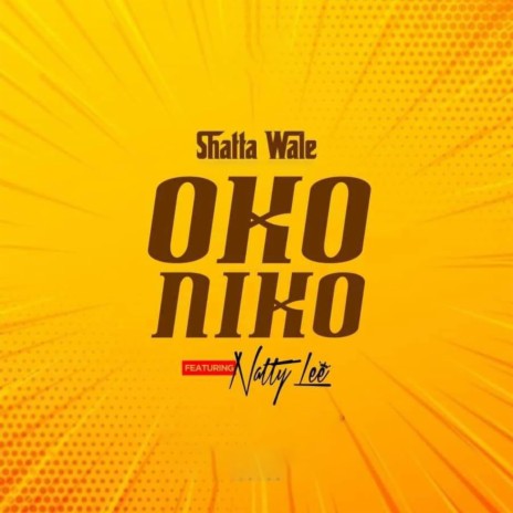 Oko Niko ft. Natty Lee | Boomplay Music