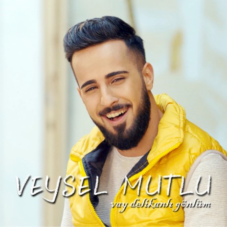 Vay Delikanlı Gönlüm | Boomplay Music