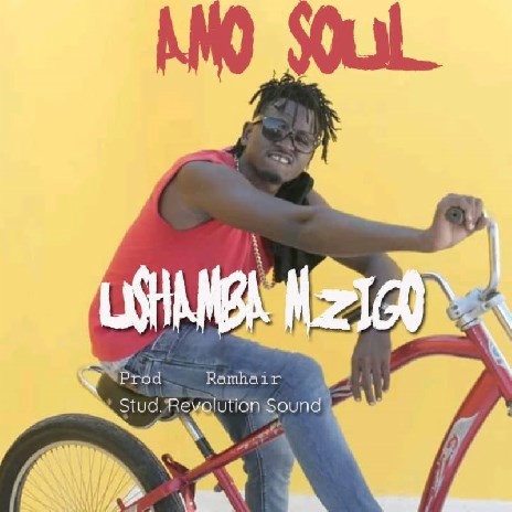 Ushamba Mzigo | Boomplay Music