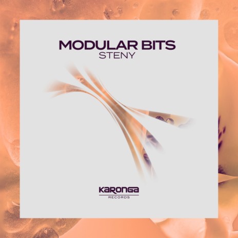 Modular Bits | Boomplay Music