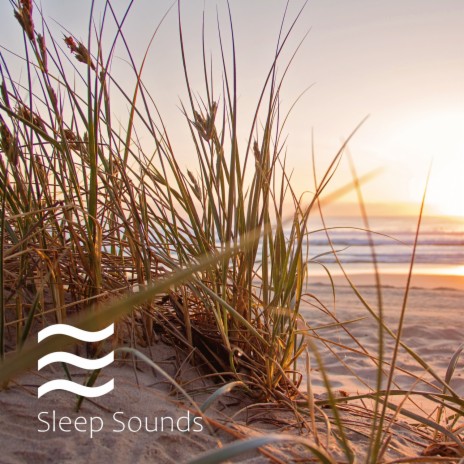 Senses relief soothing white noise | Boomplay Music