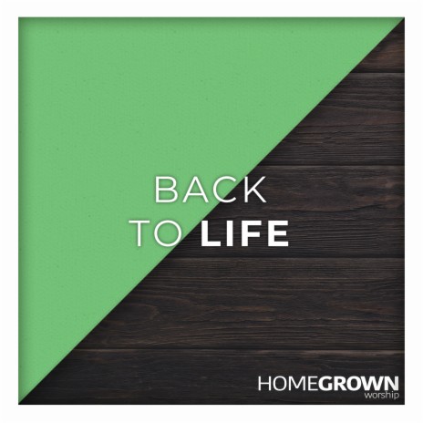 Back to Life | Boomplay Music