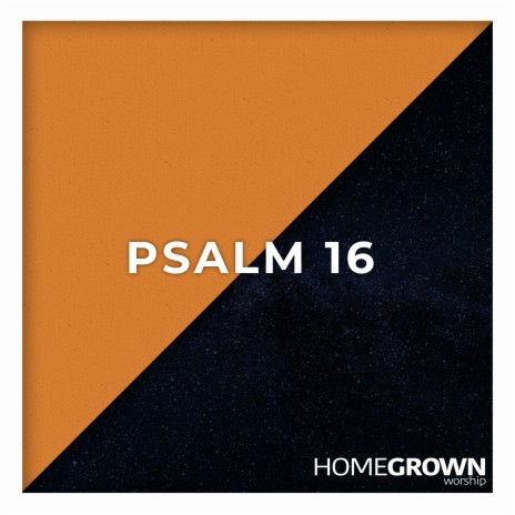 Psalm 16 | Boomplay Music