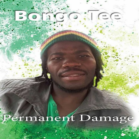 Permanent Damage | Boomplay Music