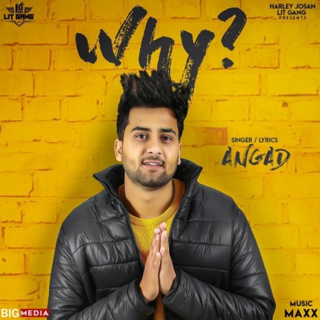 Why? | Boomplay Music