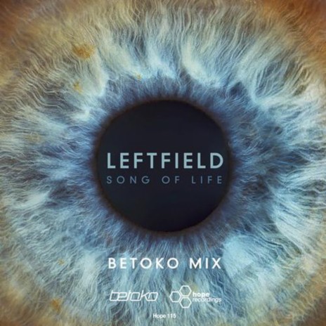 Song of Life (Betoko Remix) | Boomplay Music