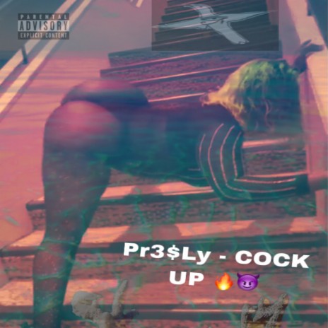 Cock Up | Boomplay Music