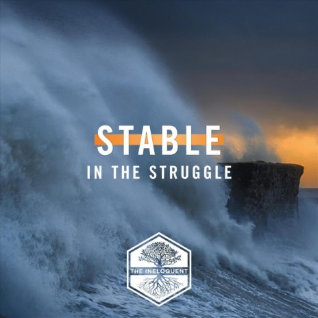 Stable in the Struggle