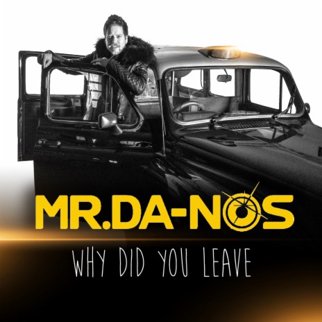 Why Did You Leave (Radio Edit) | Boomplay Music