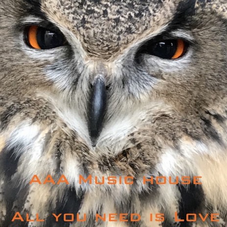 All You Need Is Love By a Music House Boomplay Music