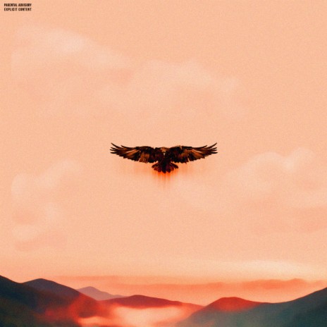 Flew Away | Boomplay Music