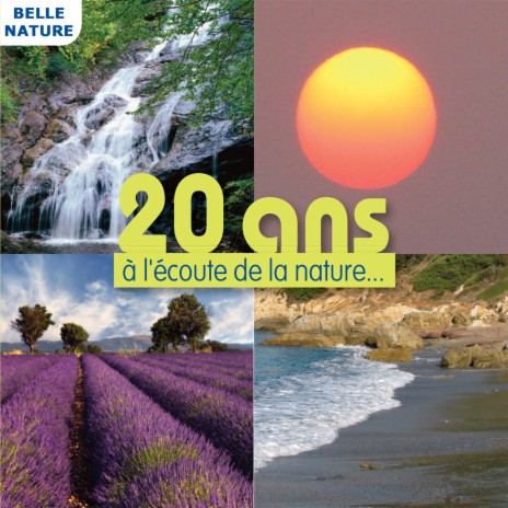 Fin d'orage nocturne (Pure nature) | Boomplay Music