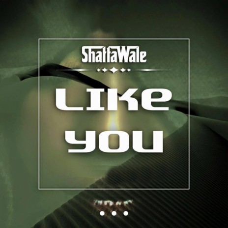 Like You | Boomplay Music